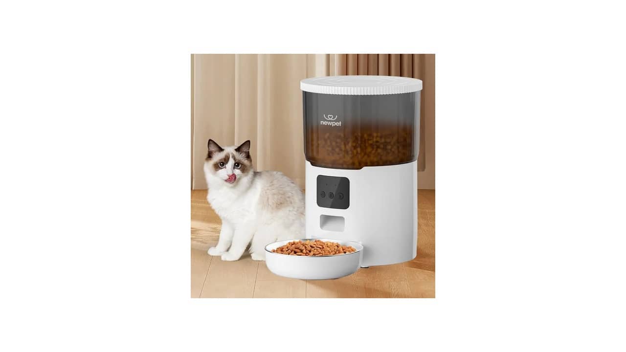 Melhor Alimentador Automático para Gato: Smart, Temporizador e Multigato