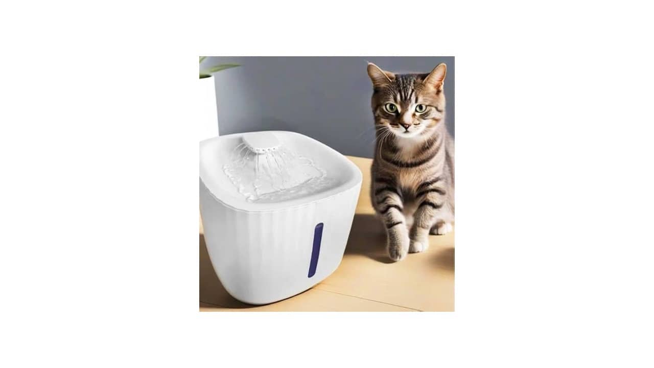 Melhor Bebedouro para Gato: Silencioso e Automático