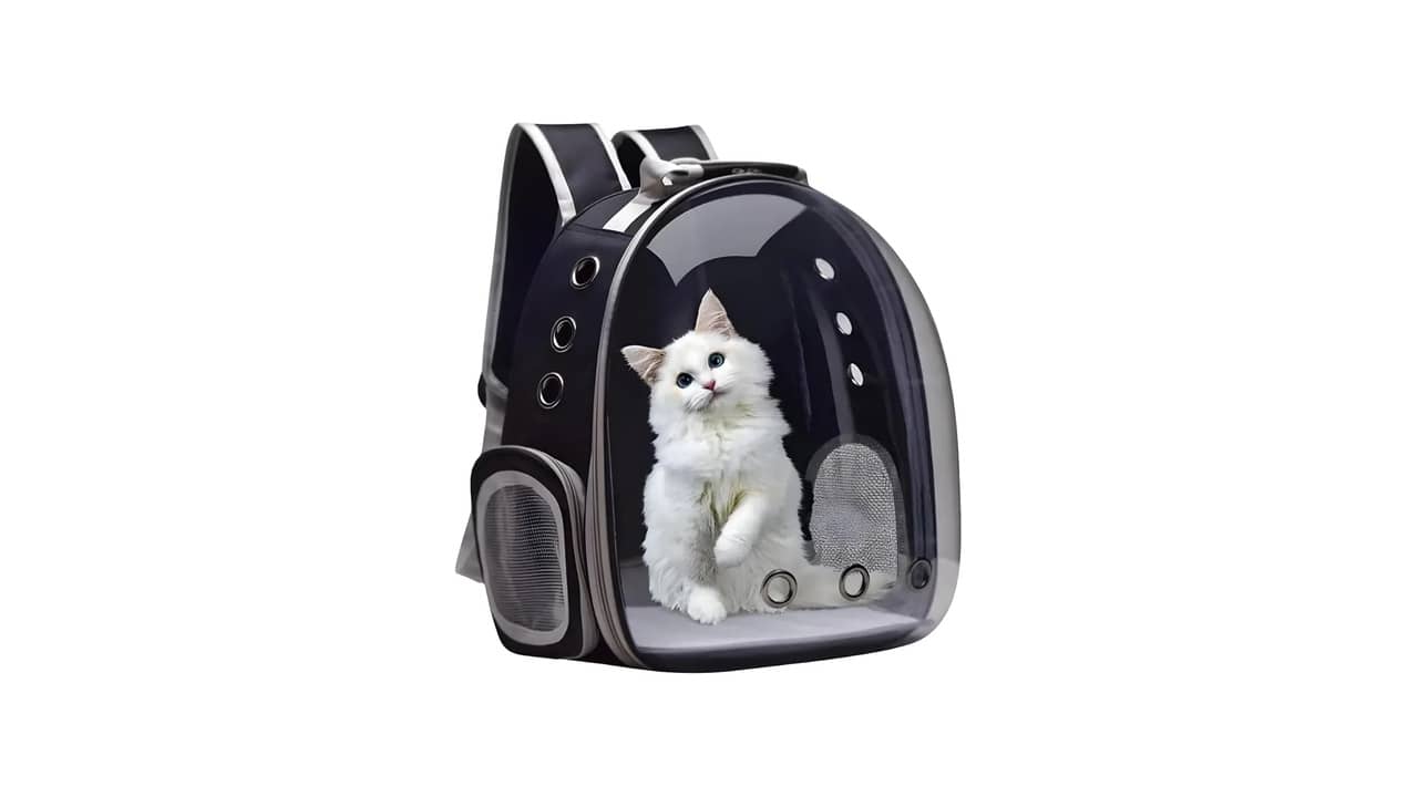 Melhor Bolsa de Transporte para Gato: Qual Garante Mais Conforto e Segurança?
