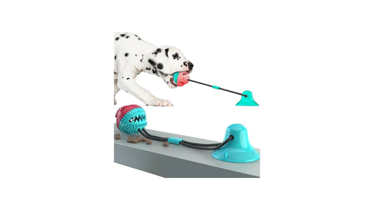Melhor Brinquedo para Cachorro que Fica Sozinho: Estimulações Inteligentes e Anti-stresse