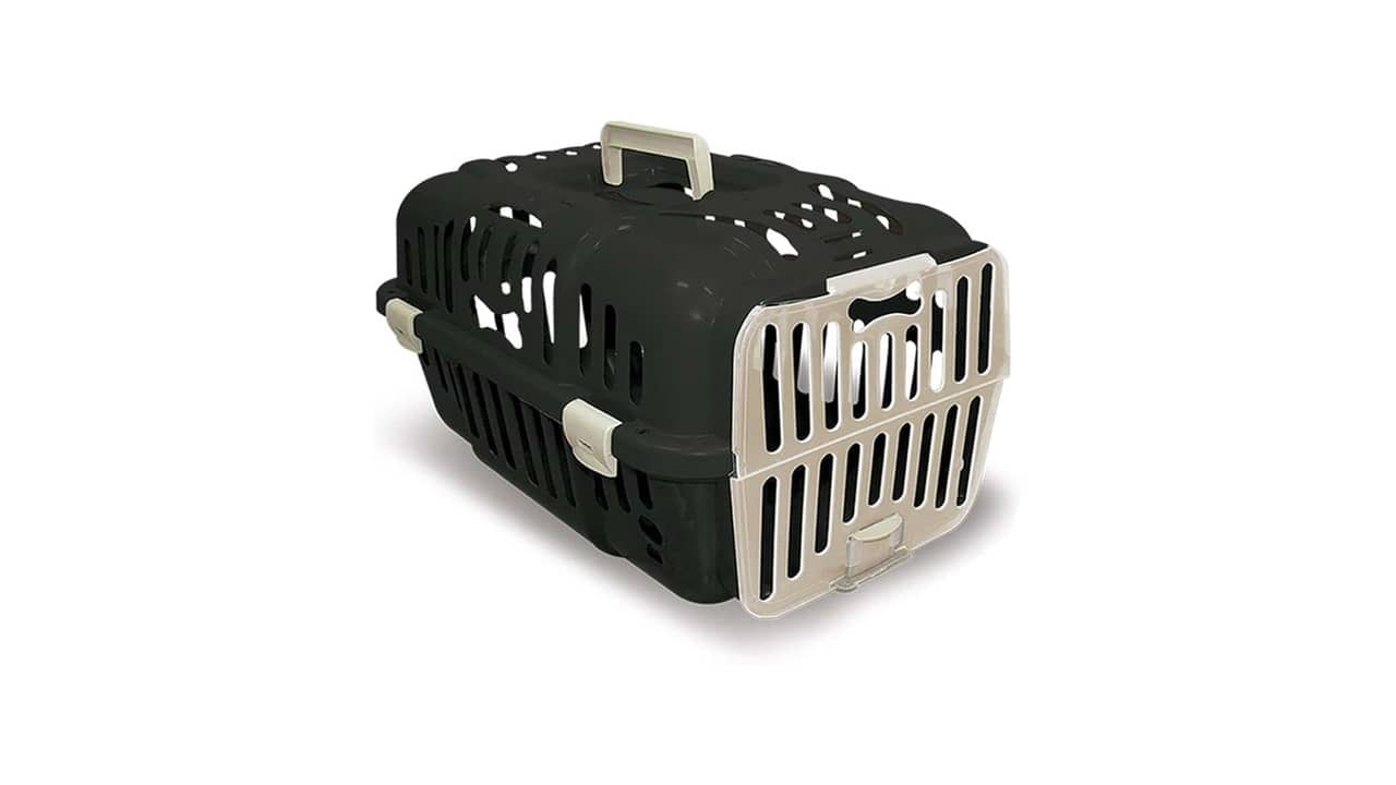 Melhor Caixa de Transporte para Gato: Qual o Mais Confortável?