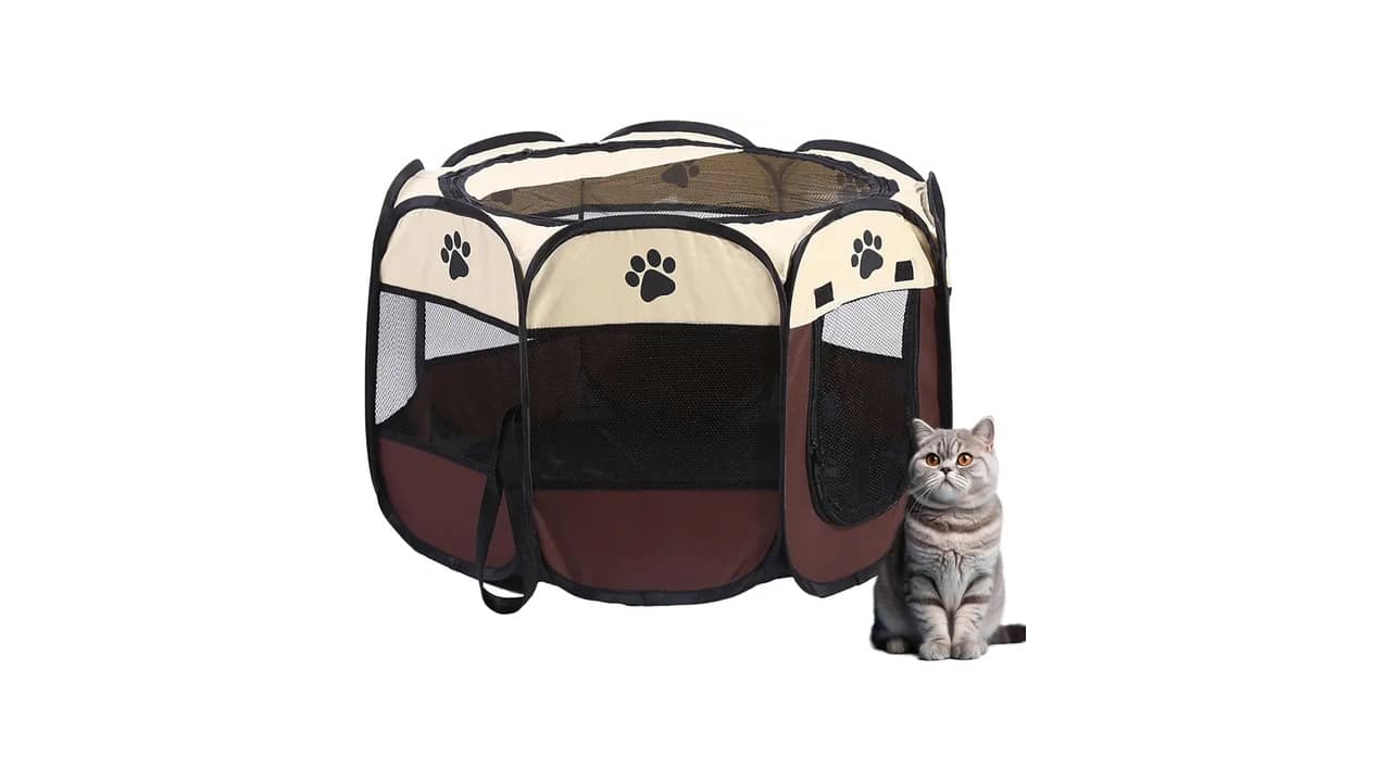 Melhor Cercado para Gato: Proteção e Comodidade