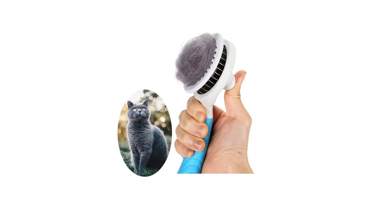 Melhor Escova para Gatos: 8 Opções Elétricas com Vapor
