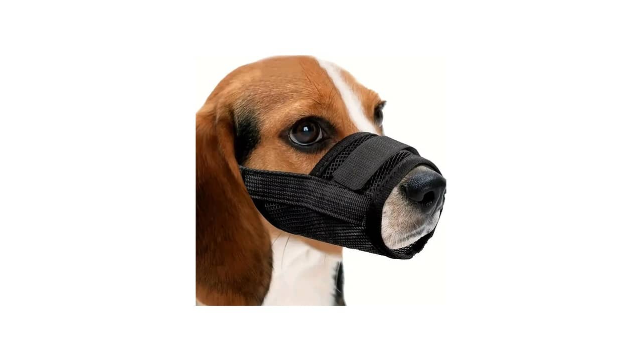 Melhor Focinheira para Cachorro: Análise Detalhada dos 10 Modelos Mais Seguros e Duráveis