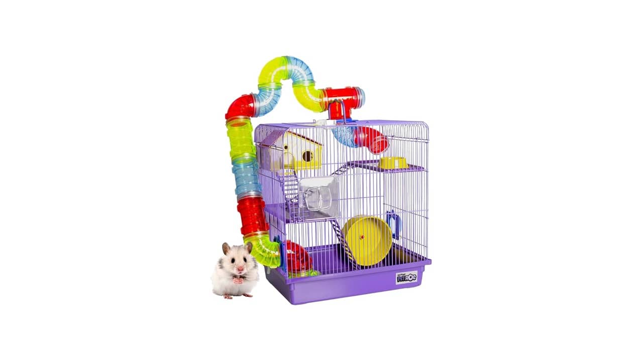 Melhor Gaiola para Hamster: Análise de 10 Modelos Robustos e Espaçosos