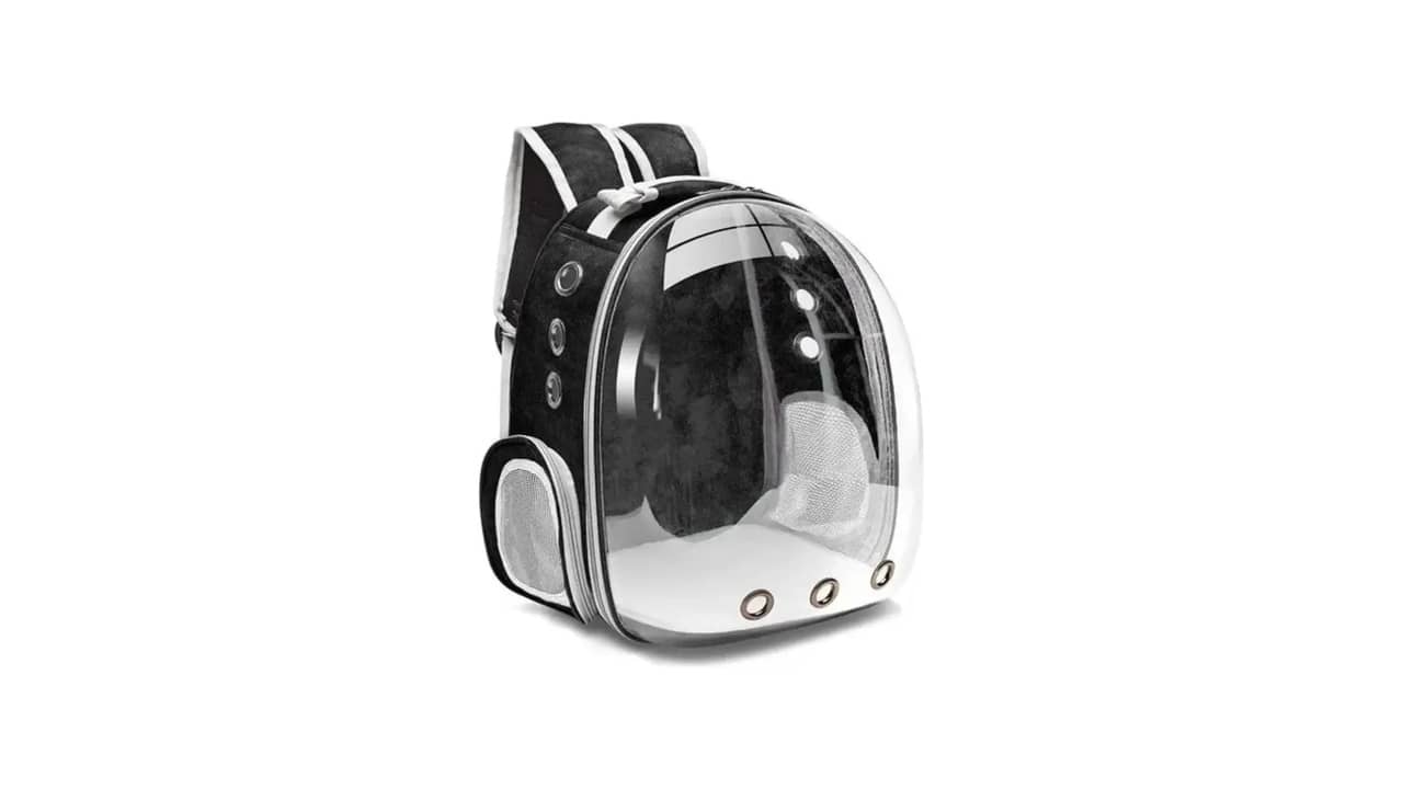 Melhor Mochila Transparente para Gato: Visão Panorâmica e Ventilação Avançada