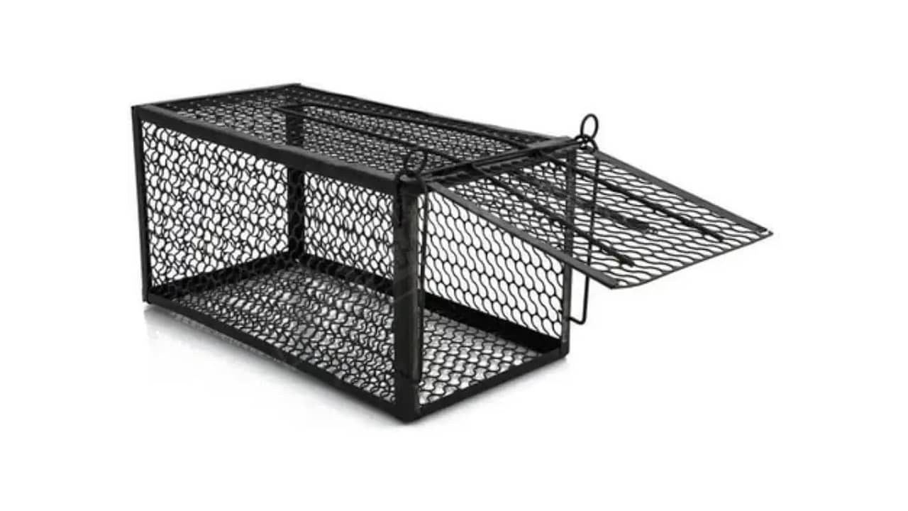 Melhor Ratoeira: Captura Eficiente e Reutilizável para Roedores