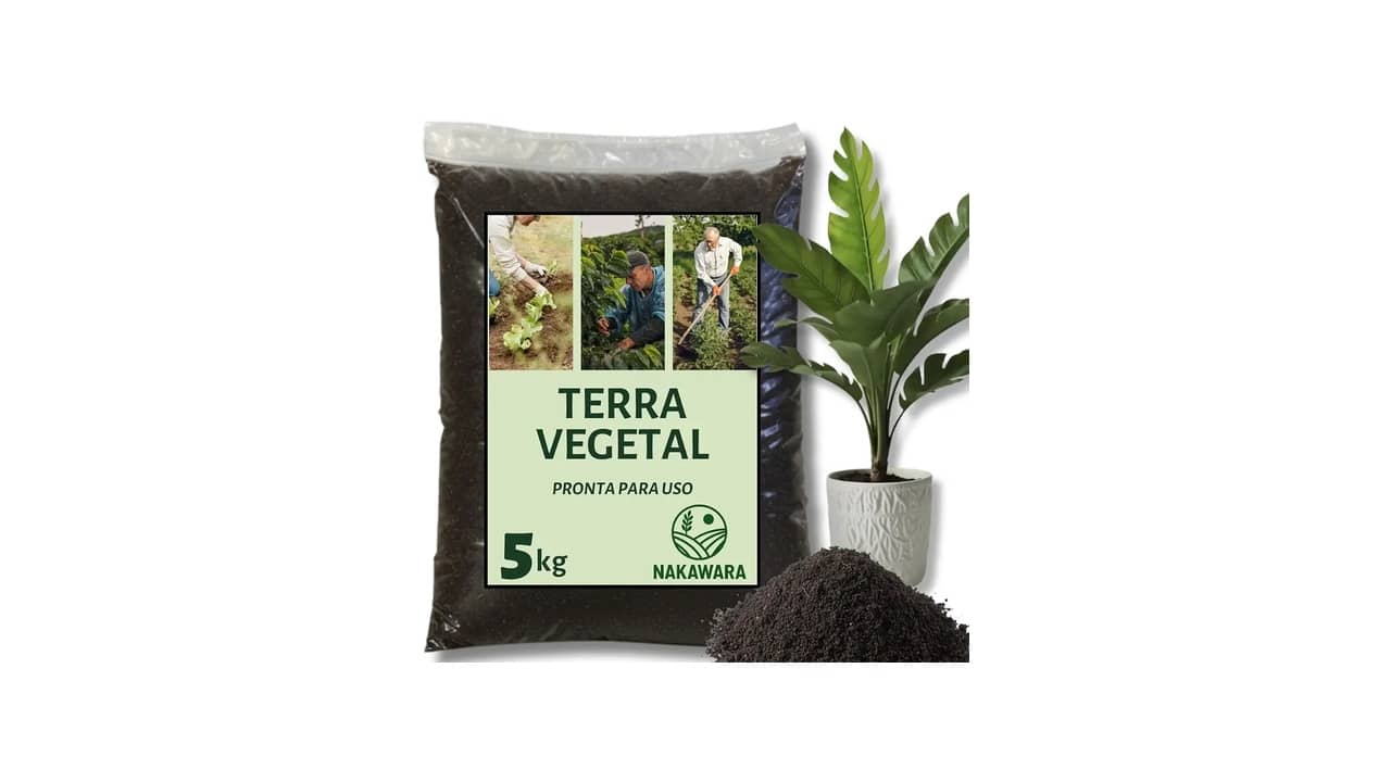 Melhor Substrato para Plantas: Qual É a Melhor Opção para Seu Jardim?