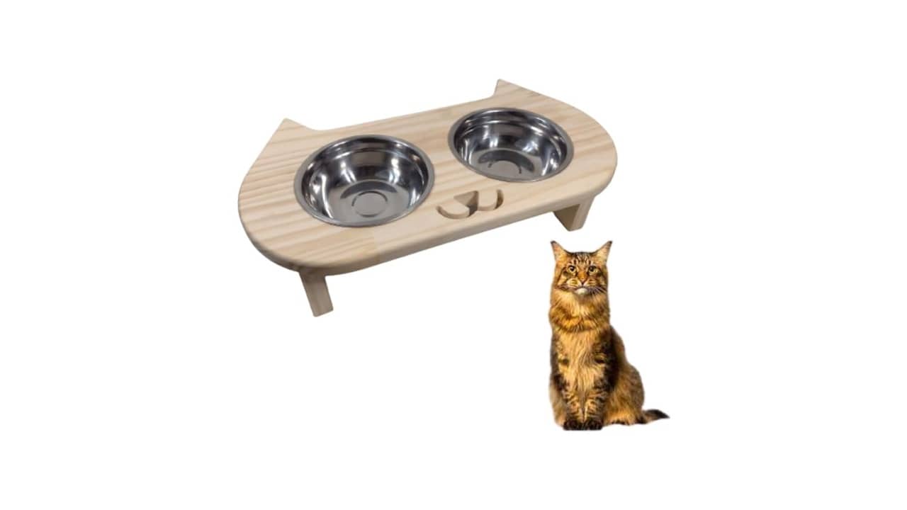 Melhor Vasilha para Gato: Qual é a Melhor Opção para seu Amigo Felino?