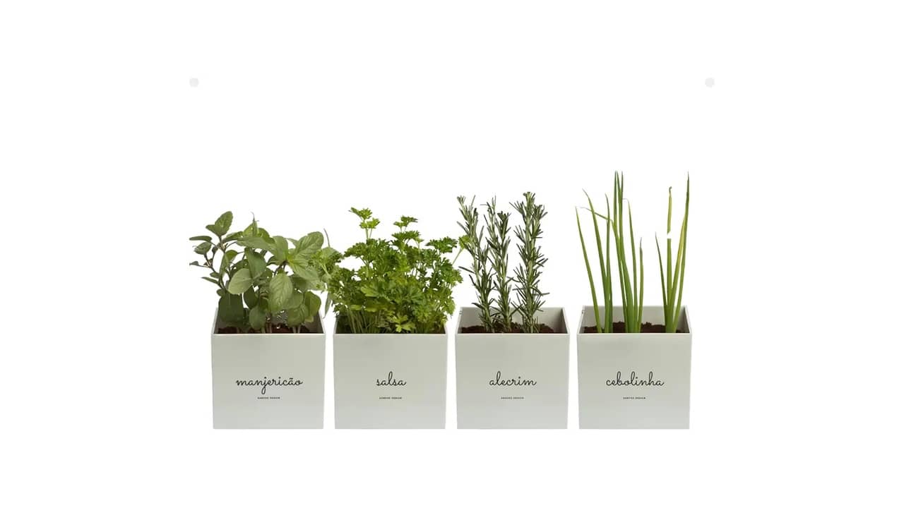 Melhor Vaso Autoirrigável: 10 Opções Para Plantas Saudáveis
