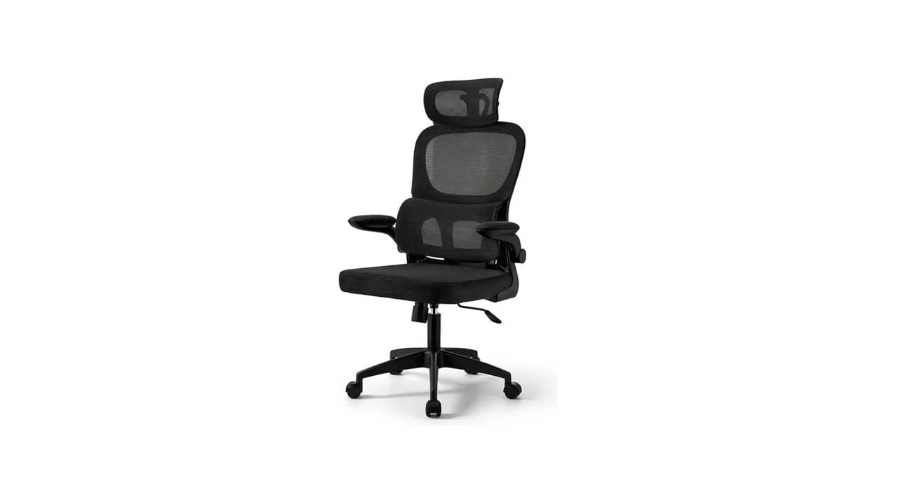 Qual a Melhor Cadeira para Quem Tem Problema de Coluna? Apoio Lombar e Comforto