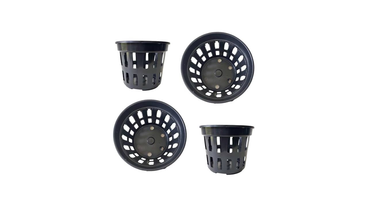 Qual Melhor Vaso para Orquídeas? Top 10 Recomendações