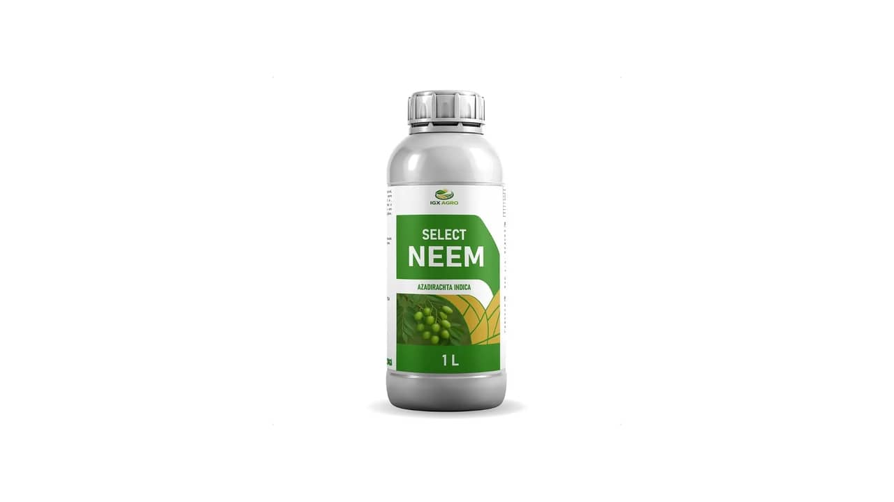 Qual o Melhor Óleo de Neem? Análise de 9 Opções Naturais